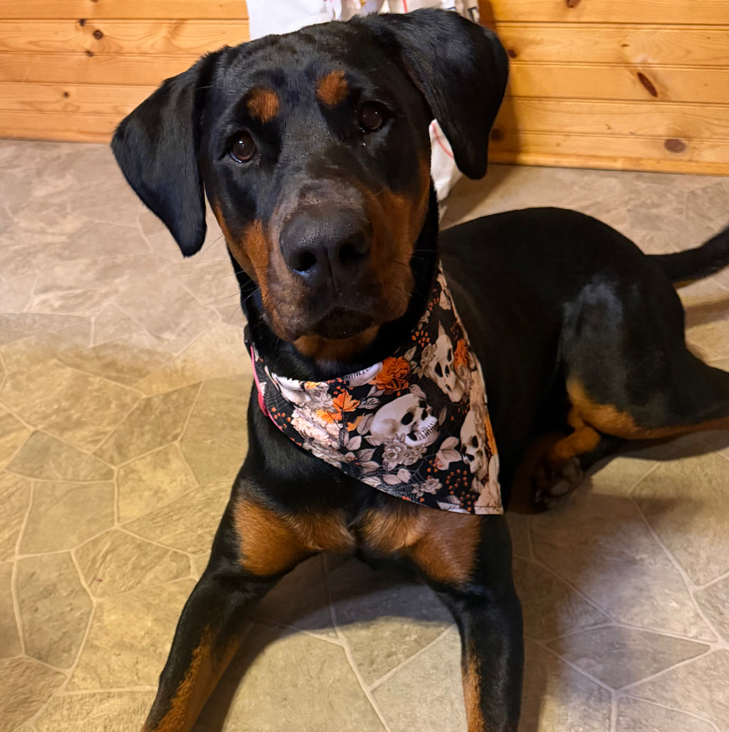 Orange Skulls and Floral