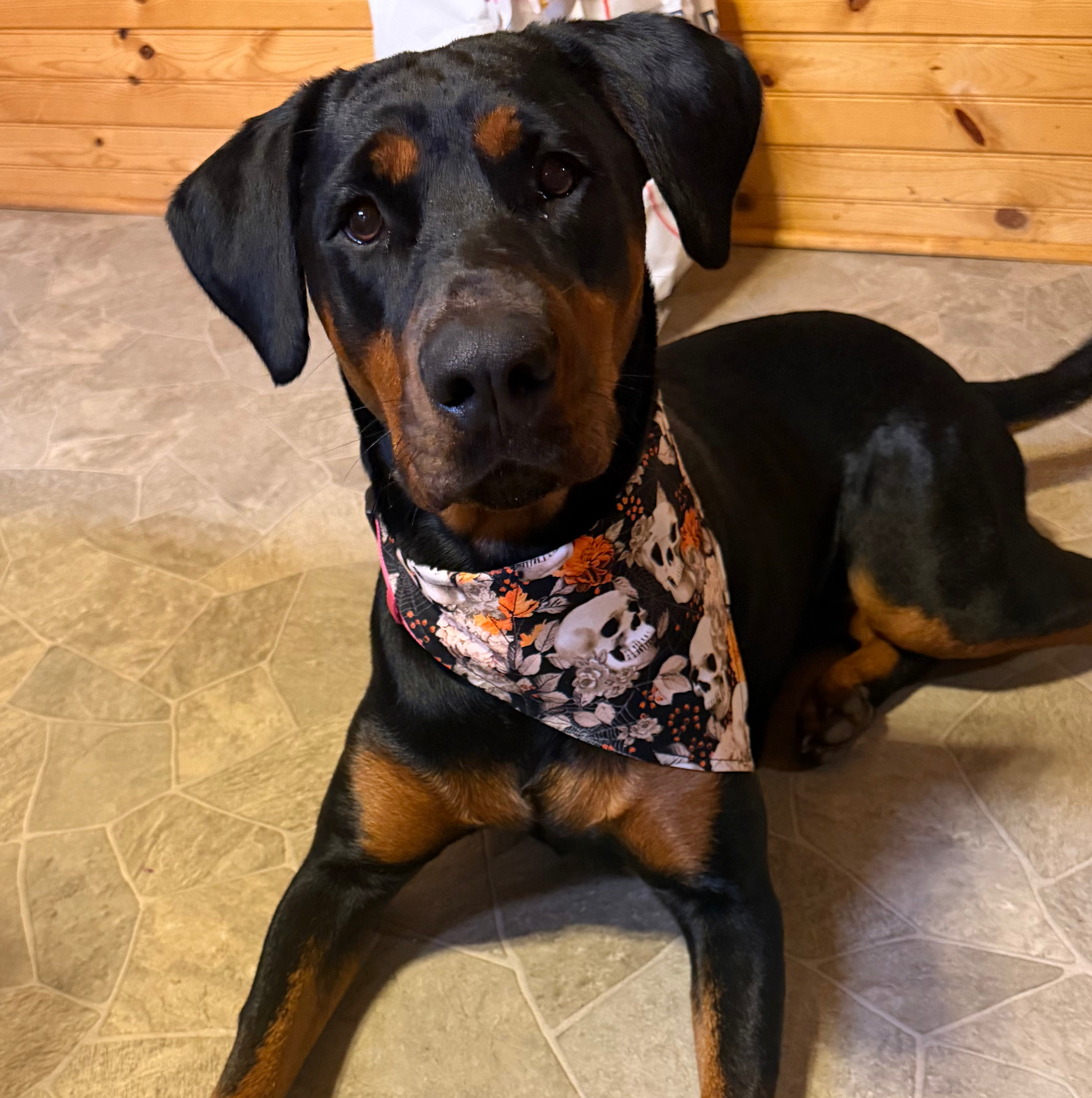 Orange Skulls and Floral
