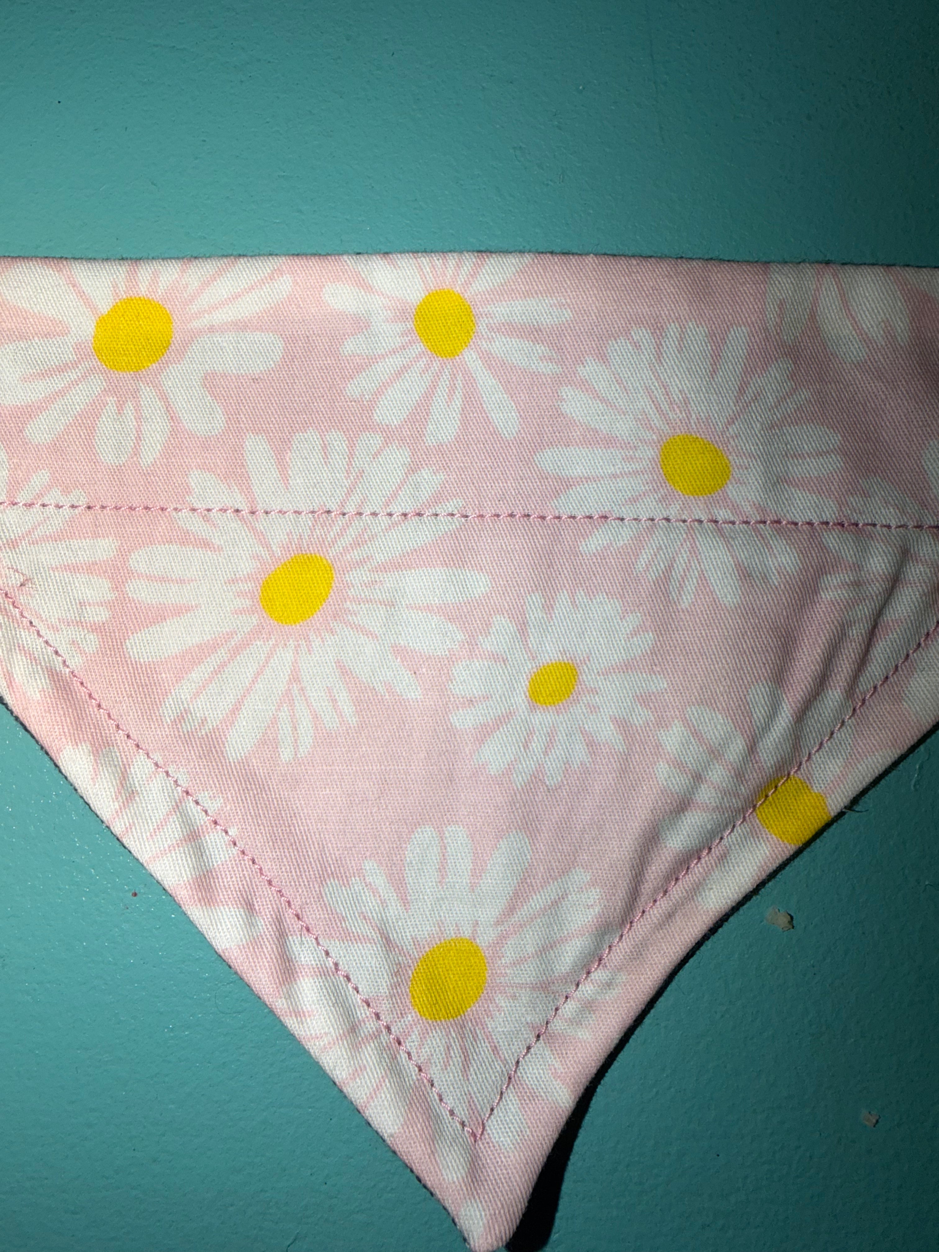 Daisies